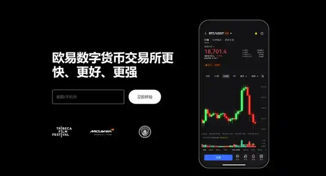 欧义平台展示图